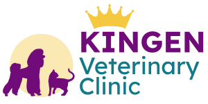 Kingen Veterinary Clinic